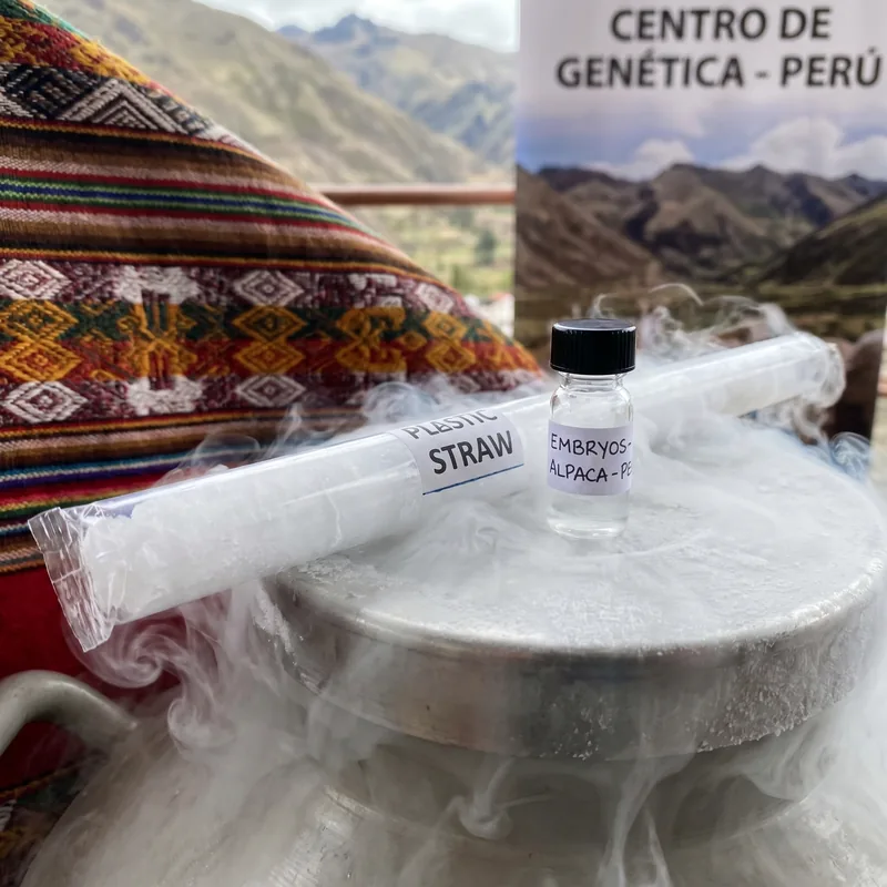 Laboratorio de genética